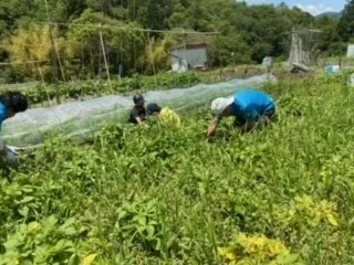 放課後等デイサービス ガリレオ オリンピア/農作業🌳