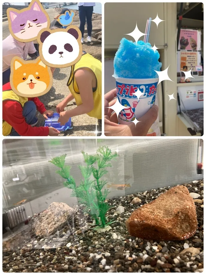 放課後等デイサービスたんぽぽ塚口店/いきものと子ども達のひとコマ