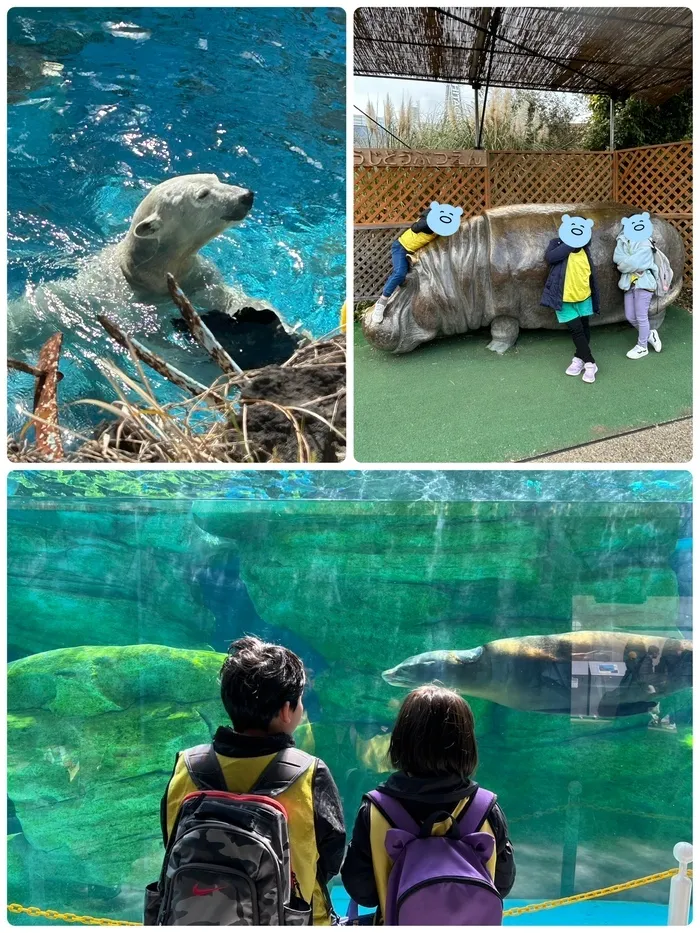 放課後等デイサービスたんぽぽ塚口店/王子動物園🚗