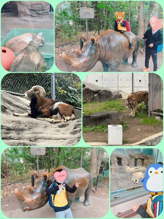 放課後等デイサービスたんぽぽ塚口店/天王寺動物園に行ってきました(*^▽^*)