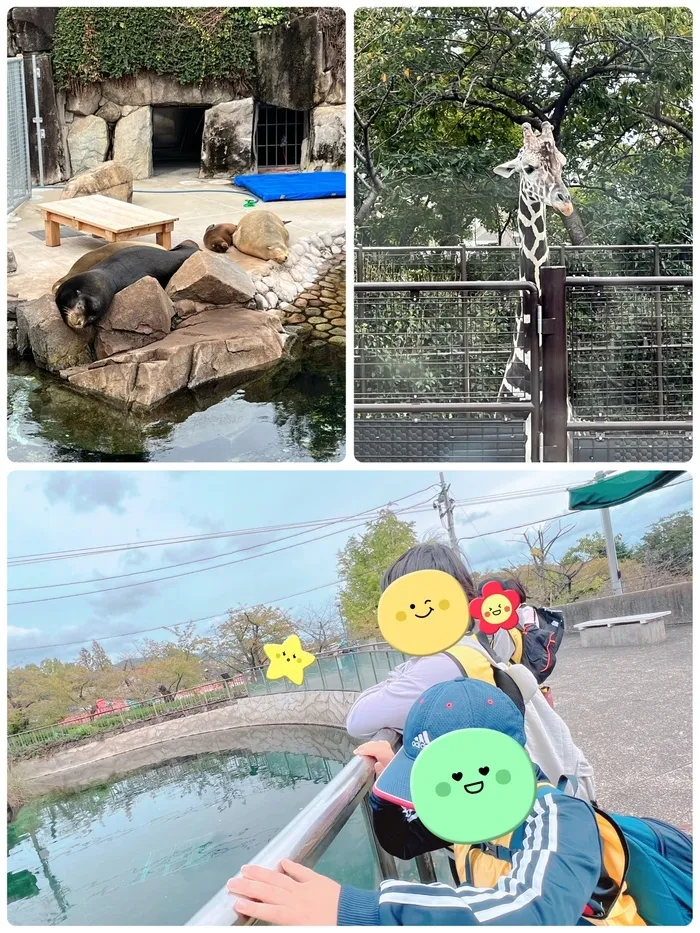 放課後等デイサービスたんぽぽ塚口店/王子動物園に行ってきました(=^・^=)