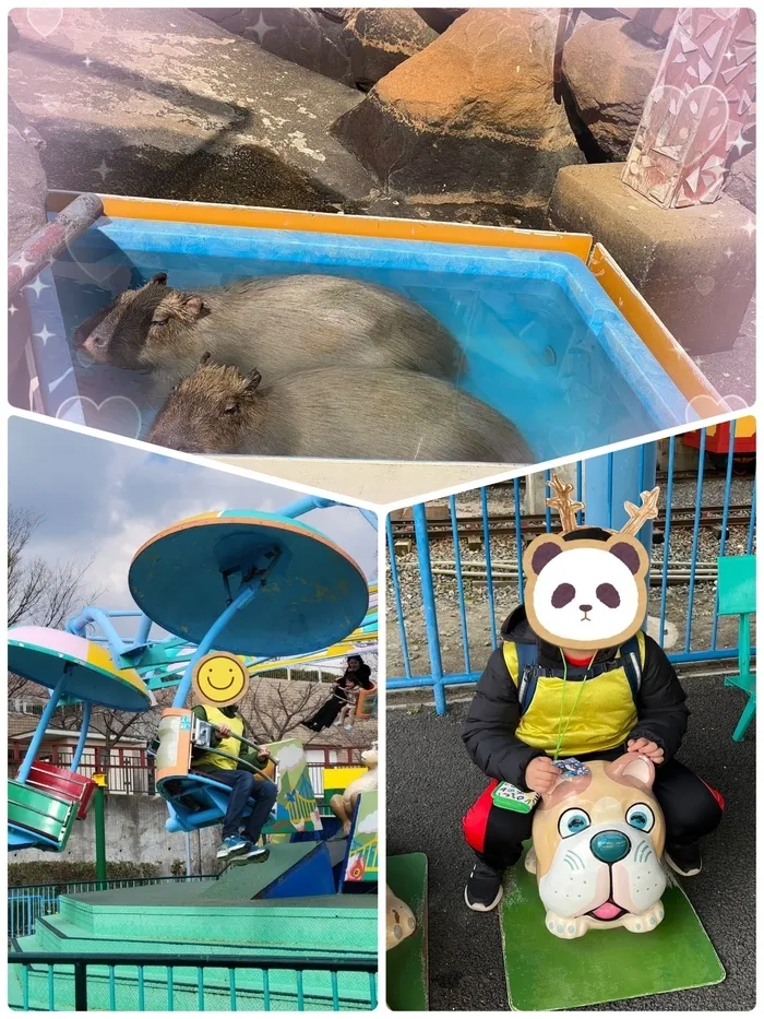 放課後等デイサービスたんぽぽ塚口店/🦛王子動物園🐨