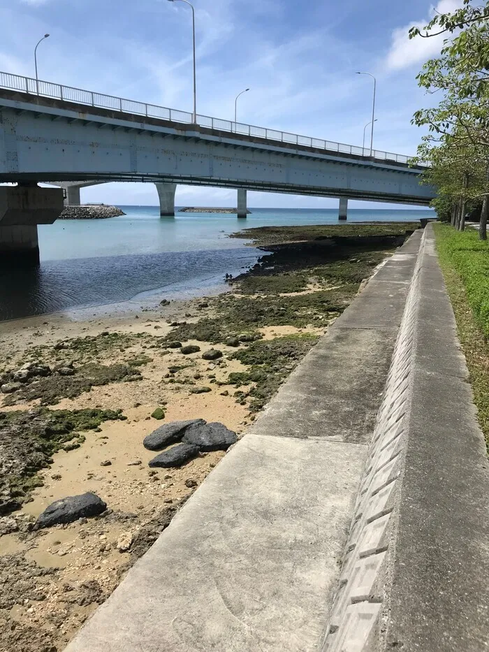 ぱれっと/ぱれっとの近くには…🌴