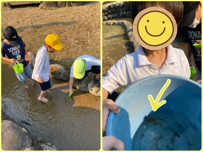 スターキッズ/近くの公園で生き物発見❗️🐸