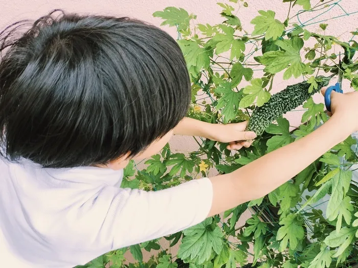 【集団療育+個別療育=個性を伸ばす】スターキッズ/外部環境