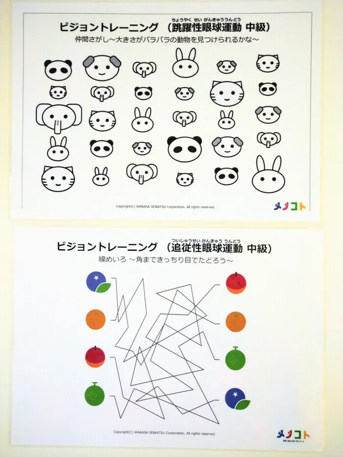 てらぴぁぽけっと　与野駅前教室/☆ビジョントレーニング☆