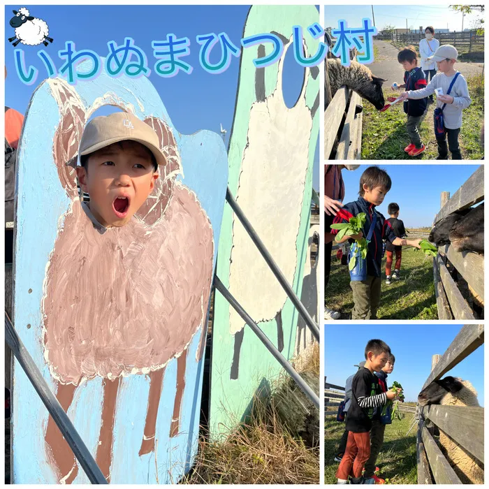 アスノバ　なないろの里/いわぬまひつじ村🐏