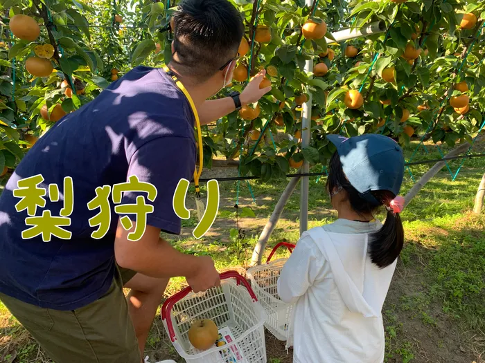 アスノバ　なないろの里/秋の味覚！梨狩り