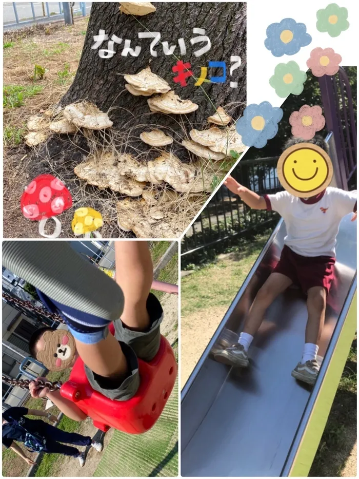 LEGON Kids天満月組/公園に行ってきました🍄