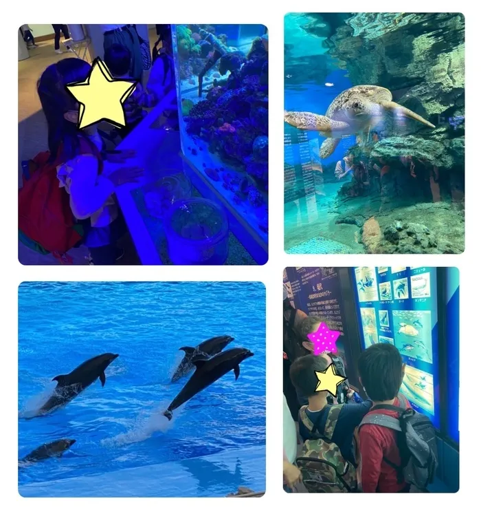 ぴぃす　なるみ/名古屋港水族館に行ってきたよ🐟