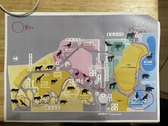 体験型放課後等デイサービス　リトルフット/続、動物園にいこう計画編