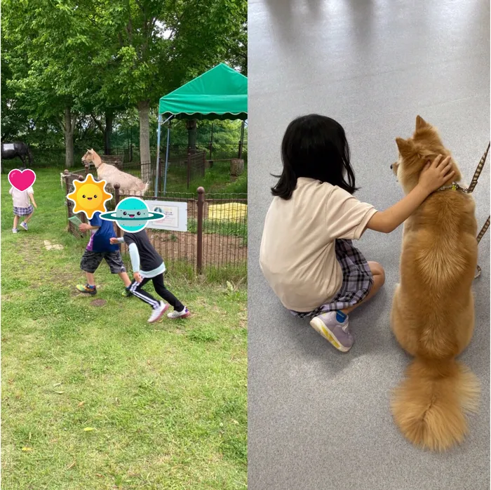 わくわくキッズルーム佐久平/動物とのふれあい🐶