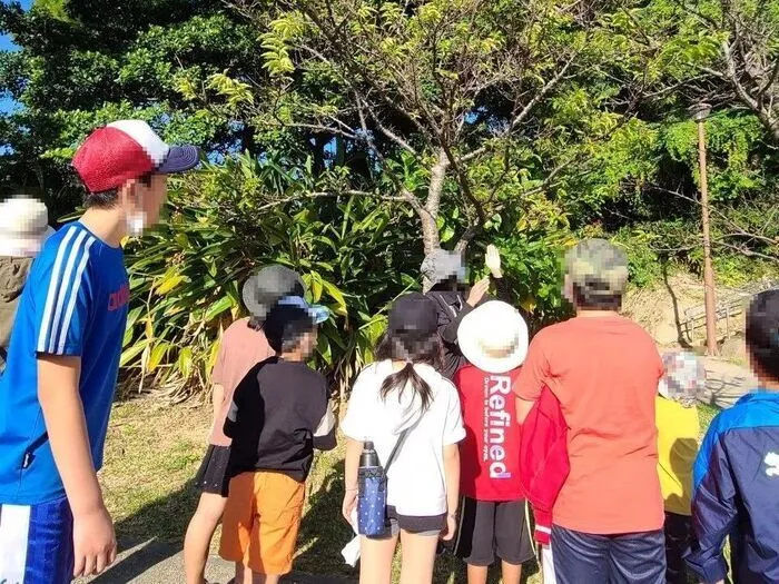 子ども療育ステーション　ここふわ港川/その他