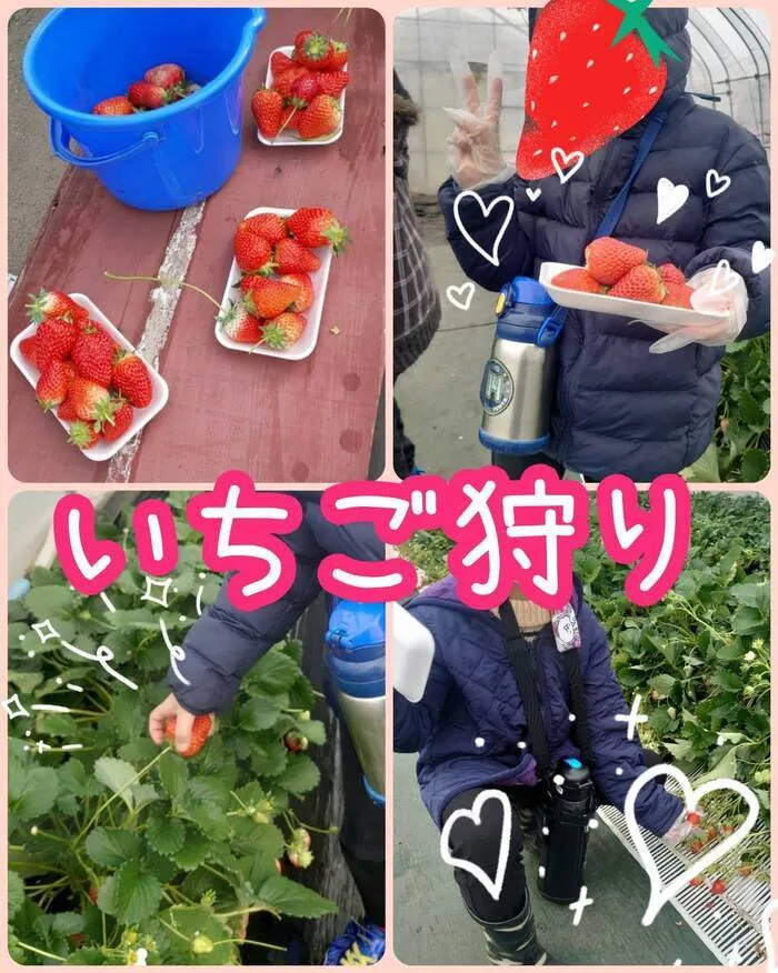 ★こどもスタジオバンビ西川田★作業療法士在籍★/いちご狩り🍓