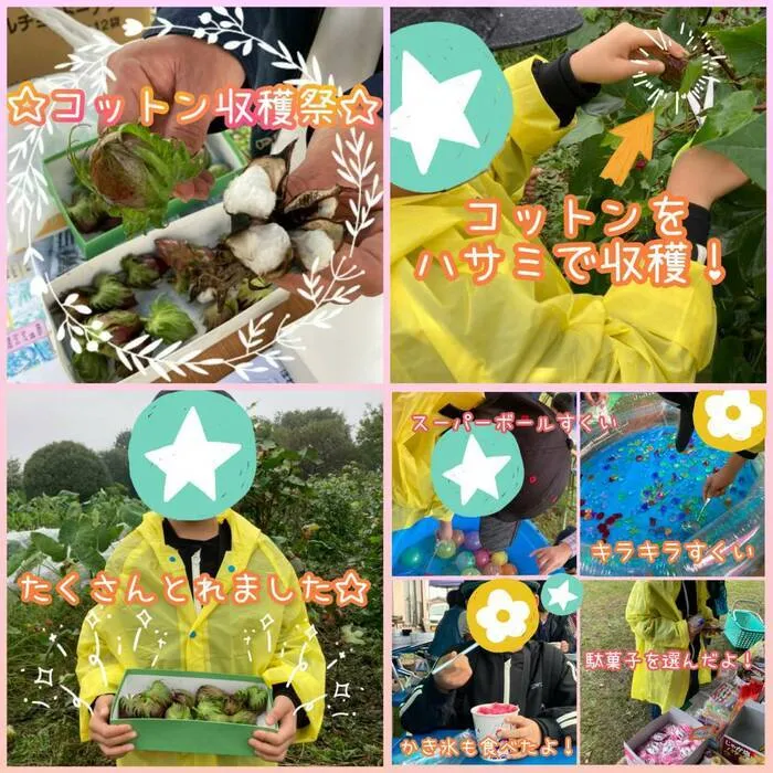 ★こどもスタジオバンビ西川田★作業療法士在籍★/✨コットン収穫祭✨