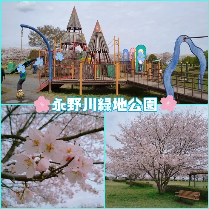 ちゃれんじ松原教室/永野川緑地公園🌸🛝