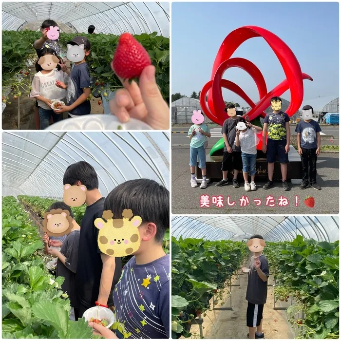 ちゃれんじ松原教室/いちご🍓いちご狩り🍓いちご