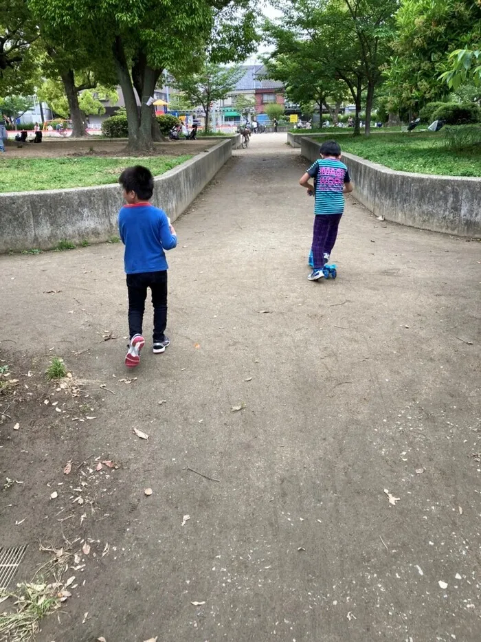 きりんのあくび　kids　ふせ/まてーーーぃ👣