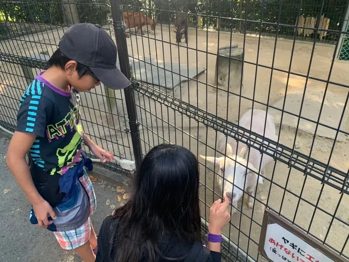 きりんのあくび　kids　ふせ/動物との触れ合い💓