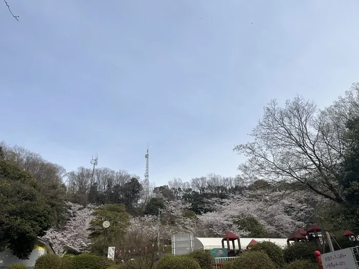 きりんのあくび　kids　ふせ/玉手山公園⛲️