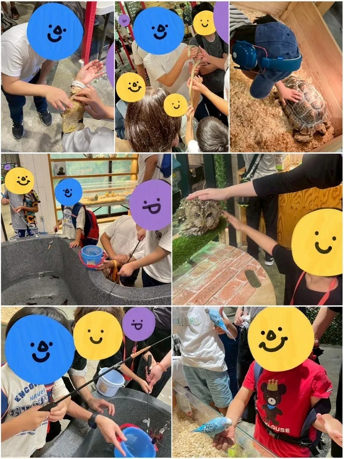 きりんのあくび　kids　ふせ/いきもの探検隊🐹🦉🦔🐍🦎