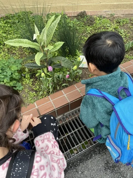 きりんのあくび　kids　ふせ/チューリップ🌷その②