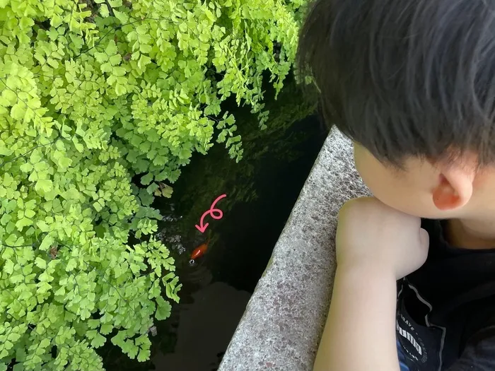 きりんのあくび　kids　ふせ/気分転換に〜☀️