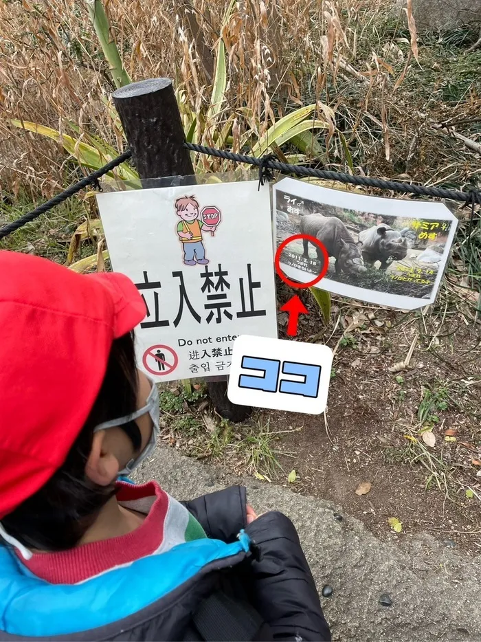 きりんのあくび　kids　ふせ/天王寺動物園～番外編～