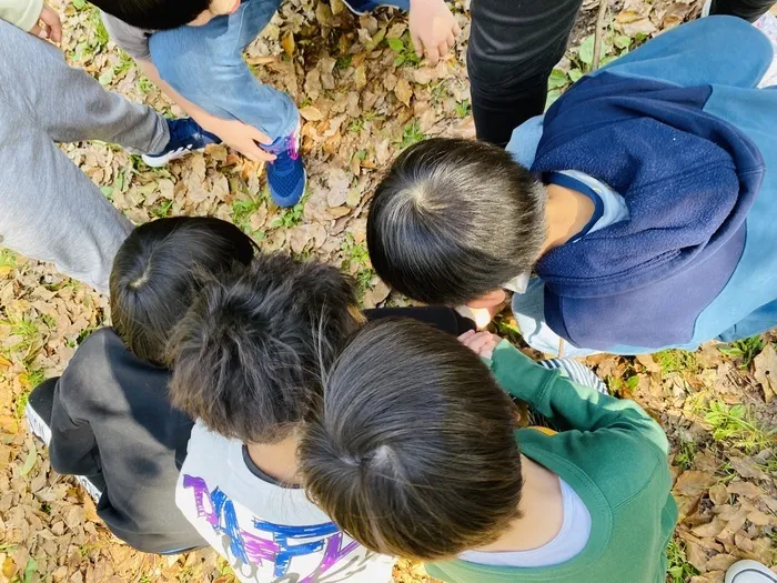 きりんのあくび　kids　ふせ/氷鬼、するよ～！