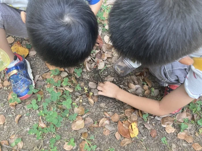 きりんのあくび　kids　ふせ/🍁秋の虫探し🦗