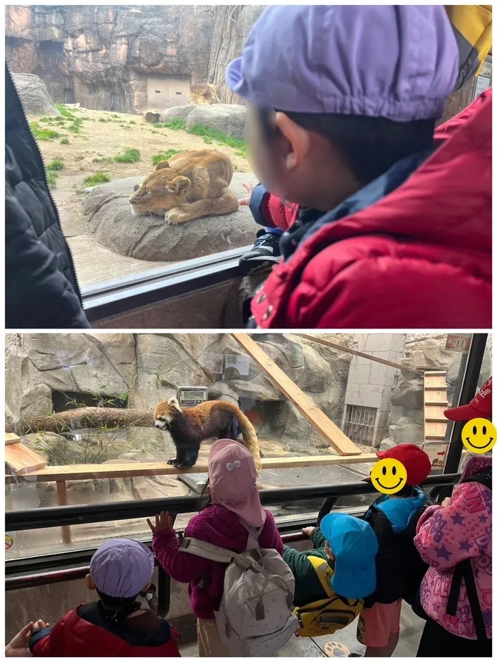 きりんのあくび　kids　ふせ/天王寺動物園🦒🐯🐻‍❄️🐵