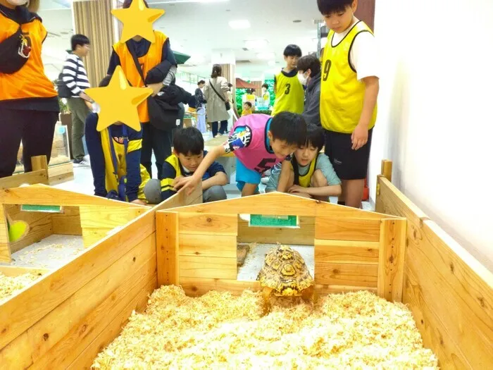ちゃれんじくらぶ日の出教室/生き物探偵隊