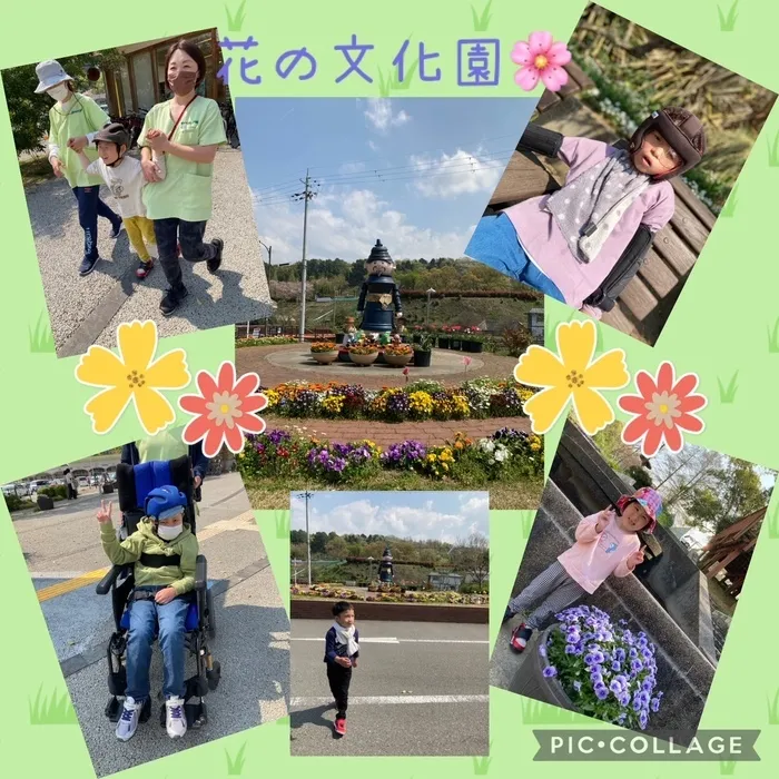 TOMODACHI富田林/花の文化園へ行ってきました🌼