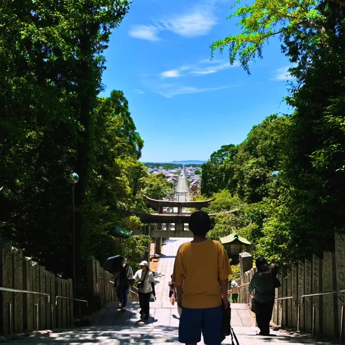 ここから/宮地嶽神社で虫捕りをしました！