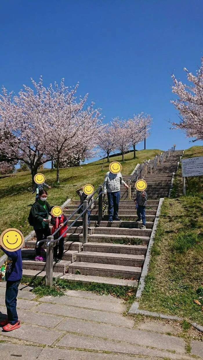 ここから/新年度が始まりました🌸