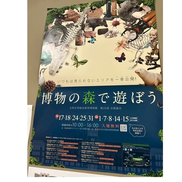 放課後等デイサービス ここから筥ざき/九州大学総合研究博物館