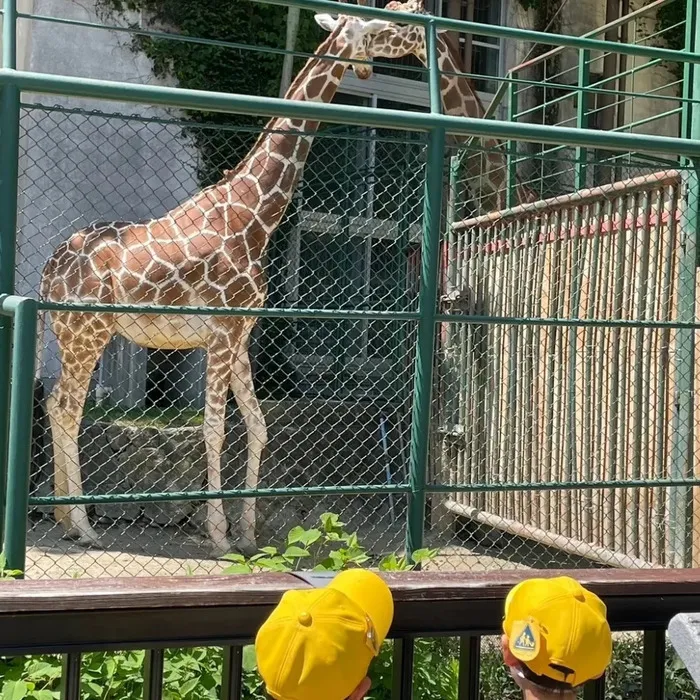 ここから/福岡市動物園に行きました！