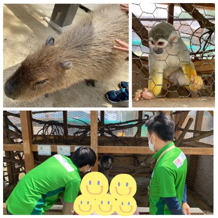 ここから/ふれあい動物園