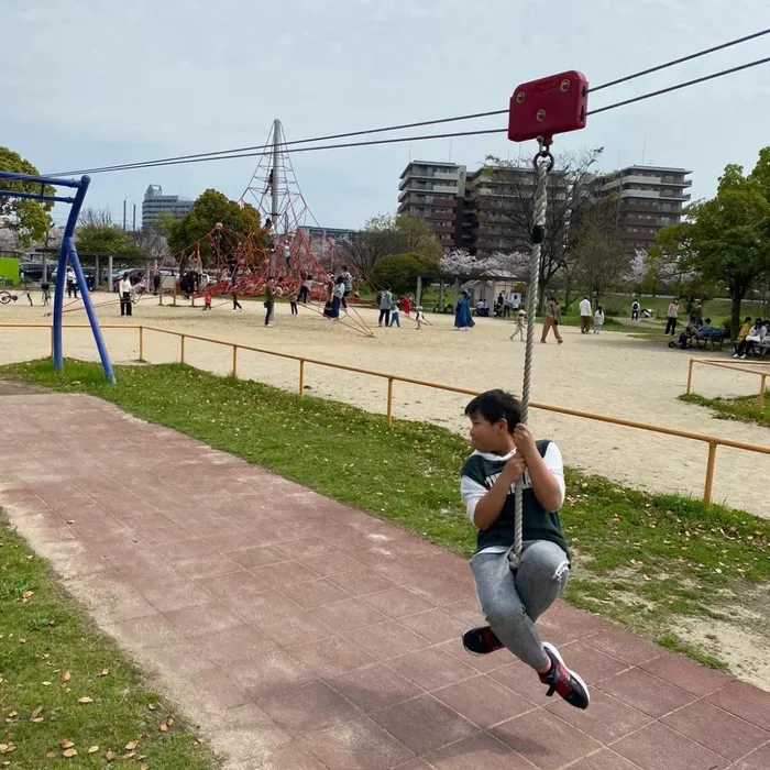 ここから/箱崎公園に行きました！