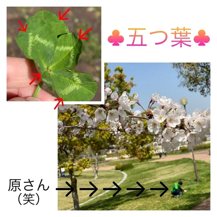 ここから/箱崎公園にて