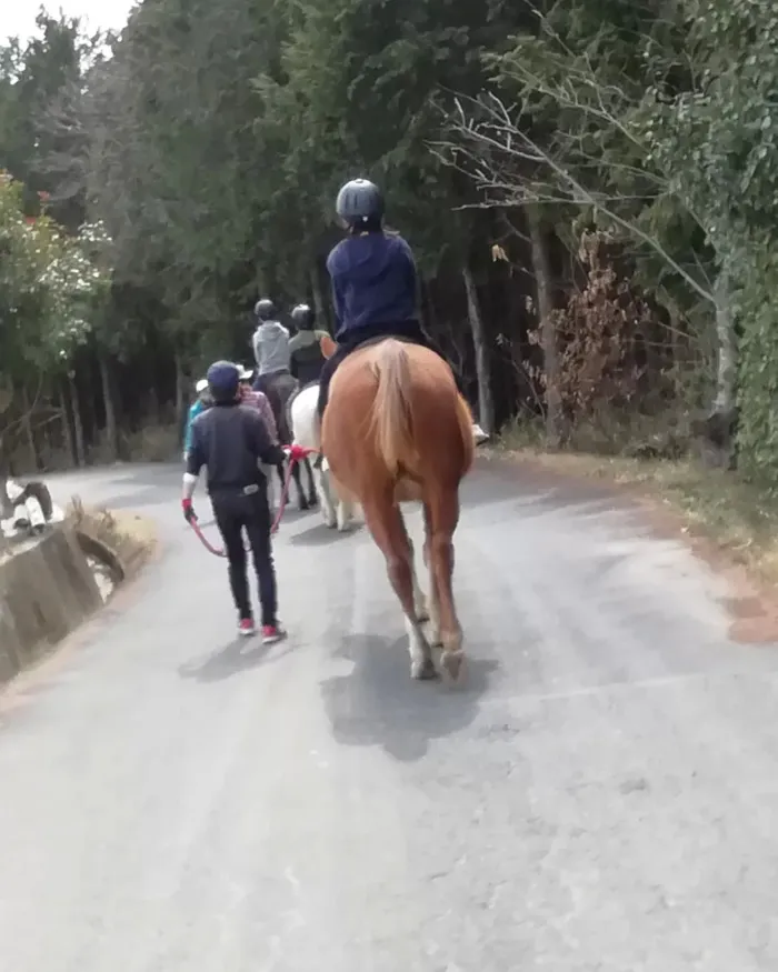 【進学・就職に向けた準備ができる】放課後等デイサービスcampus（キャンパス）/今日の授業🐴