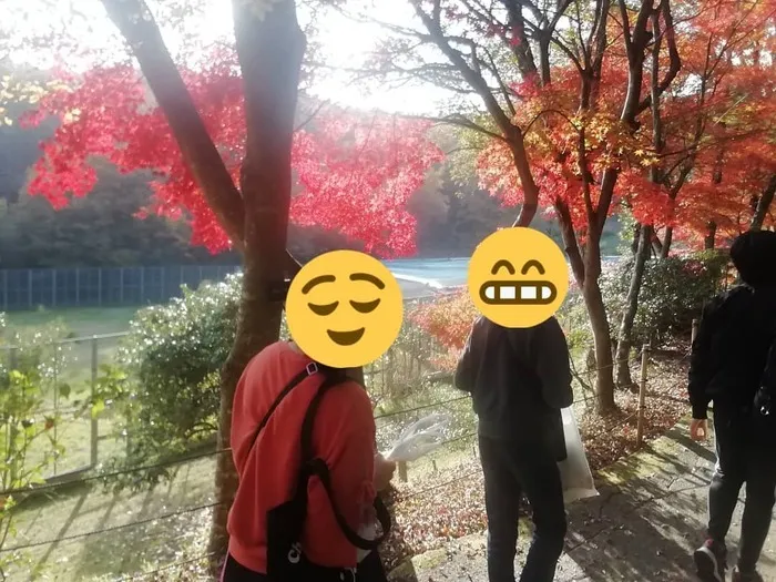 【進学・就職に向けた準備ができる】放課後等デイサービスcampus（キャンパス）/今日の授業🍂