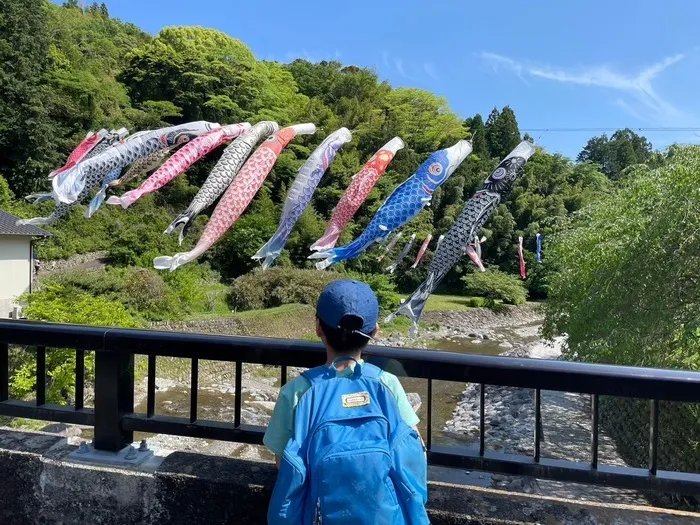 みつばち　桜町/入山親水公園🌿