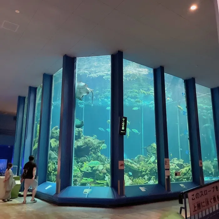 みつばち　桜町/🐠水族館に行ったよ🐡