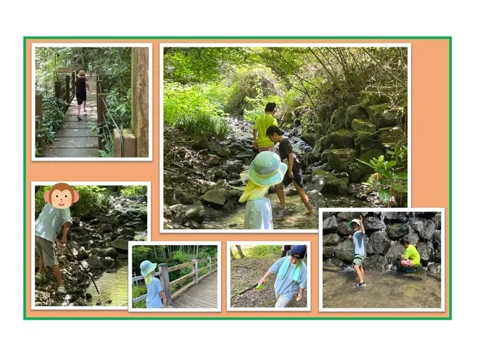 みつばち　桜町/つたの細道を大冒険👟👒🌲