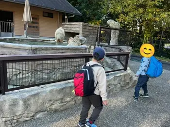 みつばち　桜町/日本平動物園2
