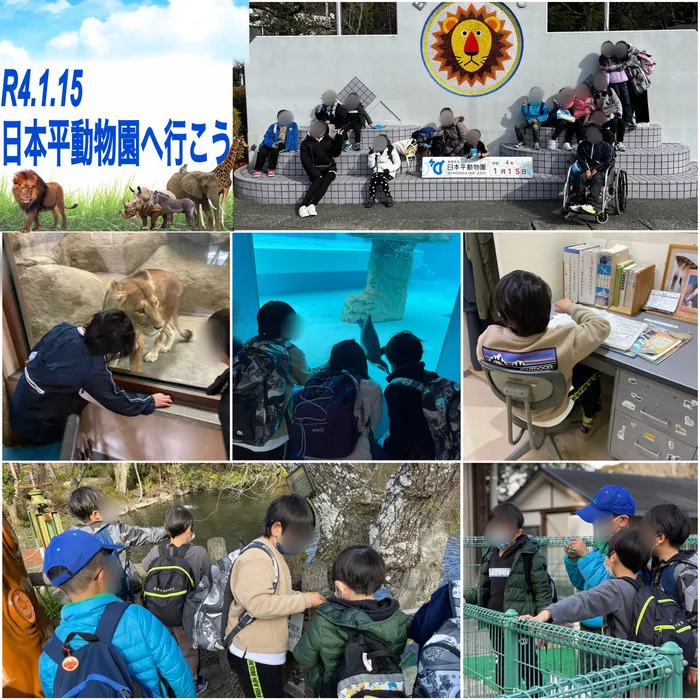 VISION/日本平動物園へ行こう🐯🐼