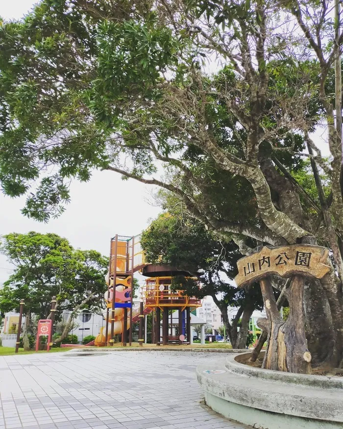 ココサポジュニア/🌳事業所近くの公園🌳