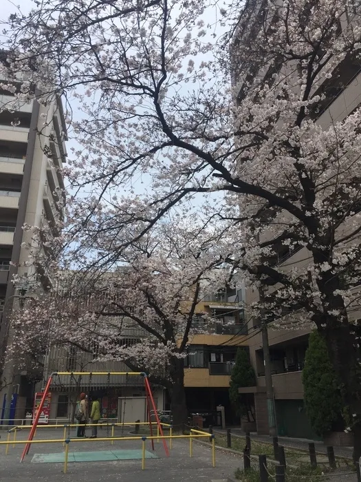 カンガルー療育支援室/令和3年4月1日開所致しました