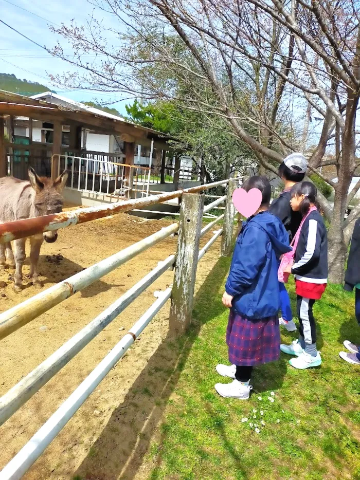 放課後等デイサービス　ウィズ・ユー広島/～お弁当を持っておでかけ～